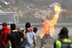 PA Arab throws firebomb at Israeli security forces Tuesday